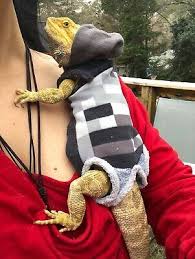 Minecraft Prints 3 Xlrg Sleeveless Body Hoodie Shirt 4 Unisex Bearded Dragon Ebay Bearded Dragon Clothes Bearded Dragon Bearded Dragon Care