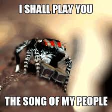 Colubrina:put that back right now before whatever left it there returns for it omg what is wrong with you??!! The Song Of My People Know Your Meme