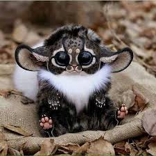 Real Life Gremlin Southeast Africa Monkey From Madagascar Cute Baby Animals Cute Animals Baby Animals