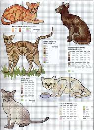 Cross stitch pattern detail information: 120 Cross Stitch Cats Ideas In 2021 Cross Stitch Stitch Cat Cross Stitch