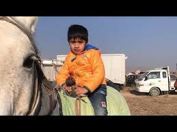 Молбозори мужун хужанд нархои гусфандхо 03 12 2020 срочно. 25 01 2020 Hudzhand Skachat S Mp4 Mp3 Flv