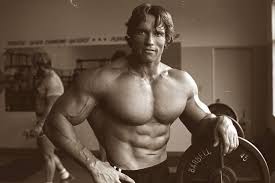 Jul 01, 2021 · arnold schwarzenegger: Arnold Schwarzenegger Die Steirische Eiche Retro Training