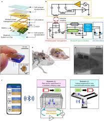 Free sonic pest + bug + rodent repellent sonic pest control. Soft Subdermal Implant Capable Of Wireless Battery Charging And Programmable Controls For Applications In Optogenetics Nature Communications