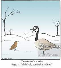 Canada Geese Cartoons Canada Geese Cartoon Funny Canada Geese Picture Canada Geese Pictures Canada Geese Image Canada Canada Goose Cartoon Funny Cartoons