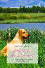 Werbung Naturliche Mittel Gegen Zecken Zecken Hunde Hundeshampoo