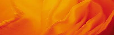 Petal Light Texture Orange Background Orange Texture Light Texture Orange Background
