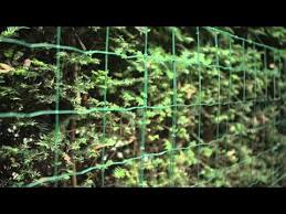 Epingle Sur Jardin