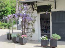 Clinique Veterinaire Du Parc Maison Laffitte