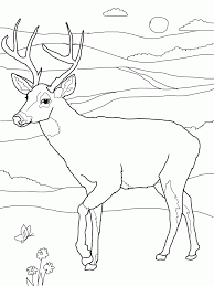 Color this family of deer several nice shades of brown. Buck And Doe Coloring Pages Coloring Home