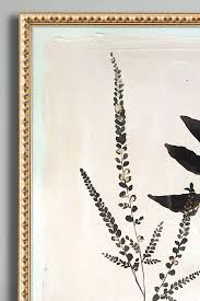 Fall always makes me want to collect leaves, nuts and other reminders of the abundance of growth that is quickly disappearing from the landscape. Upright Fern Wall Art Anthropologie Uk