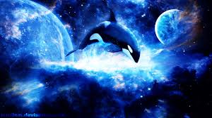 Killer whale wallpaper the great collection of killer whale wallpaper for desktop, laptop and mobiles. Killer Whale Wallpapers 1366x768 Laptop Desktop Backgrounds