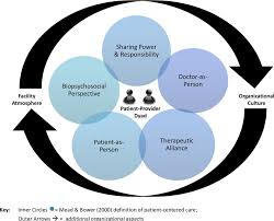 Https Onlinelibrary Wiley Com Doi Pdf 10 1111 Hex 12615