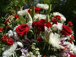 Late Steve Fitzhenry