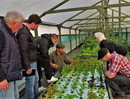 Garden Aquaponics Course 2 Days Bioaqua Farm