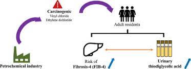 Liver Fibrosis Associated With Potential Vinyl Chloride And Ethylene Dichloride Exposure From The Petrochemical Industry Sciencedirect