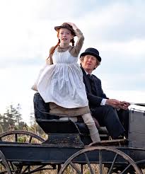 Anne with an e (initially titled anne for its first season within canada) is a canadian episodic television series adapted from lucy maud montgomery's 1908 classic work of children's literature. Anne With An E Harsh Reviews Netflix Show Criticism