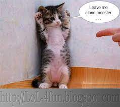 I told him to leave me alone and when he did i asked him why he was ignoring me. Leave Me Alone Funny Quotes Quotesgram