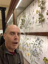 GLASS FLOWERS at the Harvard Museum of Natural History! Yes these were all  made by father and son Czech glass artists between 1886 and 1936.