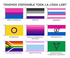 Recordemos que la administración obama, en cambio, concedió un permiso generalizado a las embajadas para izar la bandera lgbtq. Bandera Lgbt Orgullo Gay Arcoiris Diversidad 90 X 150cm Mercado Libre