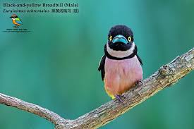 Mr. Rungsun Klinkaeo Thailand World | Flickr