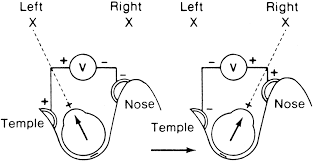 Foundation Volume 2, Chapter 104. Electro-oculography