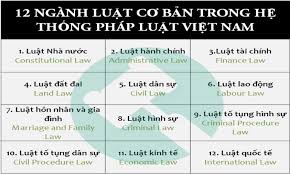 Maybe you would like to learn more about one of these? 12 Nganh Luáº­t CÆ¡ Báº£n Trong Há»‡ Thá»'ng Phap Luáº­t Viá»‡t Nam