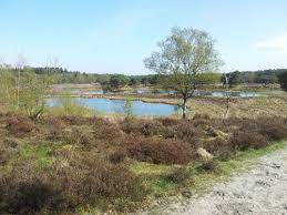 Een verblijf in parkhotel arcen is altijd inclusief ontbijt en toegang tot thermaalbad arcen. Nationaal Park De Maasduinen Niederlande Beliebte Routen Alltrails