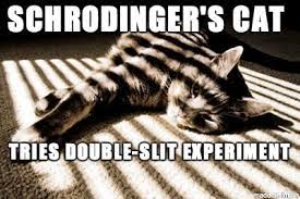 The best site to see, rate and share funny memes! Schrodinger S Cat Meme On Imgur