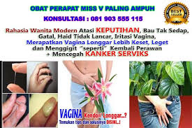Kerapatan menjadi salah satu faktor kepuasan dalam berhubungan seksual. 15 Cara Merawat Organ Kewanitaan Secara Alami Agar Tetap Rapat Tvscrystal Over Blog Com