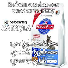 kedi sahiplendirme panosundaki pin