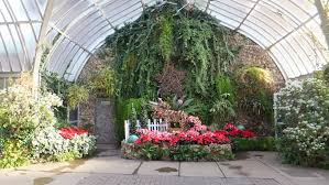 Wedding flowers on a budget. Your Property Looking Drab Here S How To Add A Wow Factor To It