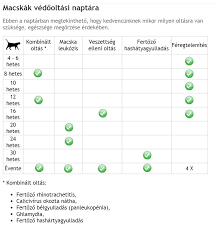 Az oltások egy része kötelező, más része választható. Kutya Vedooltas Javasolt Es Kotelezo Vakcinak Feregtelenites Es Oltas