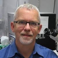 1000+ "Mélançon" profiles