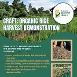 CRAFT: Organic Rice Harvest Demonstration