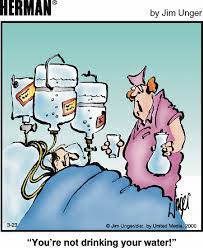 Herman Cartoon Jokes Funny Cartoon Pictures Herman Comic