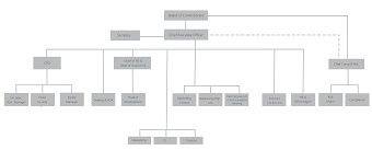 Organization Structure