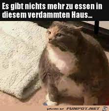 Könnten sie mir die hausaufgaben per mail schicken damit ich nichts versäume? Nichts Mehr Zum Essen Im Haus