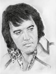 Ewa Stepien (@scutterek1)