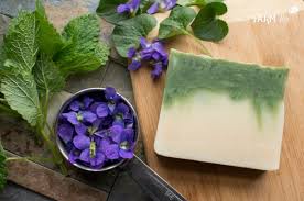 We did not find results for: 10 Things To Make With Violets