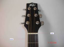 Check spelling or type a new query. The Parts Of An Acoustic Guitar