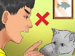 How to tame a feral kitten. How To Earn The Trust Of A Feral Kitten With Pictures Wikihow