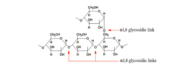We did not find results for: Why Do Animals Use Glycogen For Their Polysaccharide Storage Whereas Plants Use Starch Biology Stack Exchange
