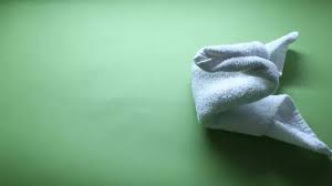 Lay the towel flat in the landscape position. How To Fold A Towel Swan 6 Steps With Pictures Wikihow