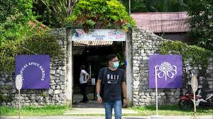 Ianya mempunyai 12 taman kecil. Tempat Wajib Pergi Di Penang Entopia Si Taman Rama Rama Youtube