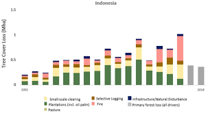 Manokwari — kiedy jest najlepszy czas na lot? Frontiers The Jurisdictional Approach In Indonesia Incentives Actions And Facilitating Connections Forests And Global Change