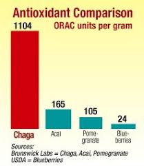 chaga has the highest orac score ever recorded in any