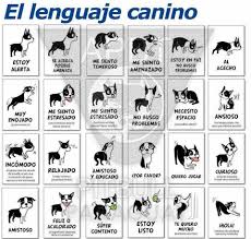 We did not find results for: Cat Dog Spa Home Facebook