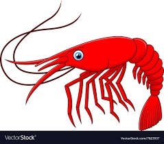 Explore more searches like kartun gambar udang. Shrimp Cartoon Royalty Free Vector Image Vectorstock Gambar Kartun Udang