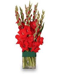 Order Holiday Flame Flower Arrangement From Cooke S Little Shoppe Of Flowers Croton On Hudson Ny Gladiolus Flower Gladiolus Arrangements Flower Arrangements