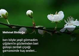 Bir Nur Kose Adli Kullanicinin Siir Panosundaki Pin Yesil